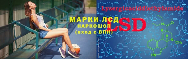 PSILOCYBIN Кукмор