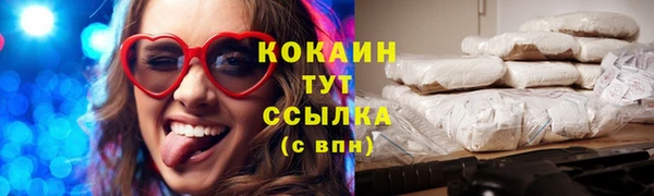 молекула духа Кулебаки