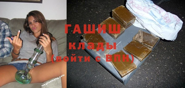 молекула духа Кулебаки